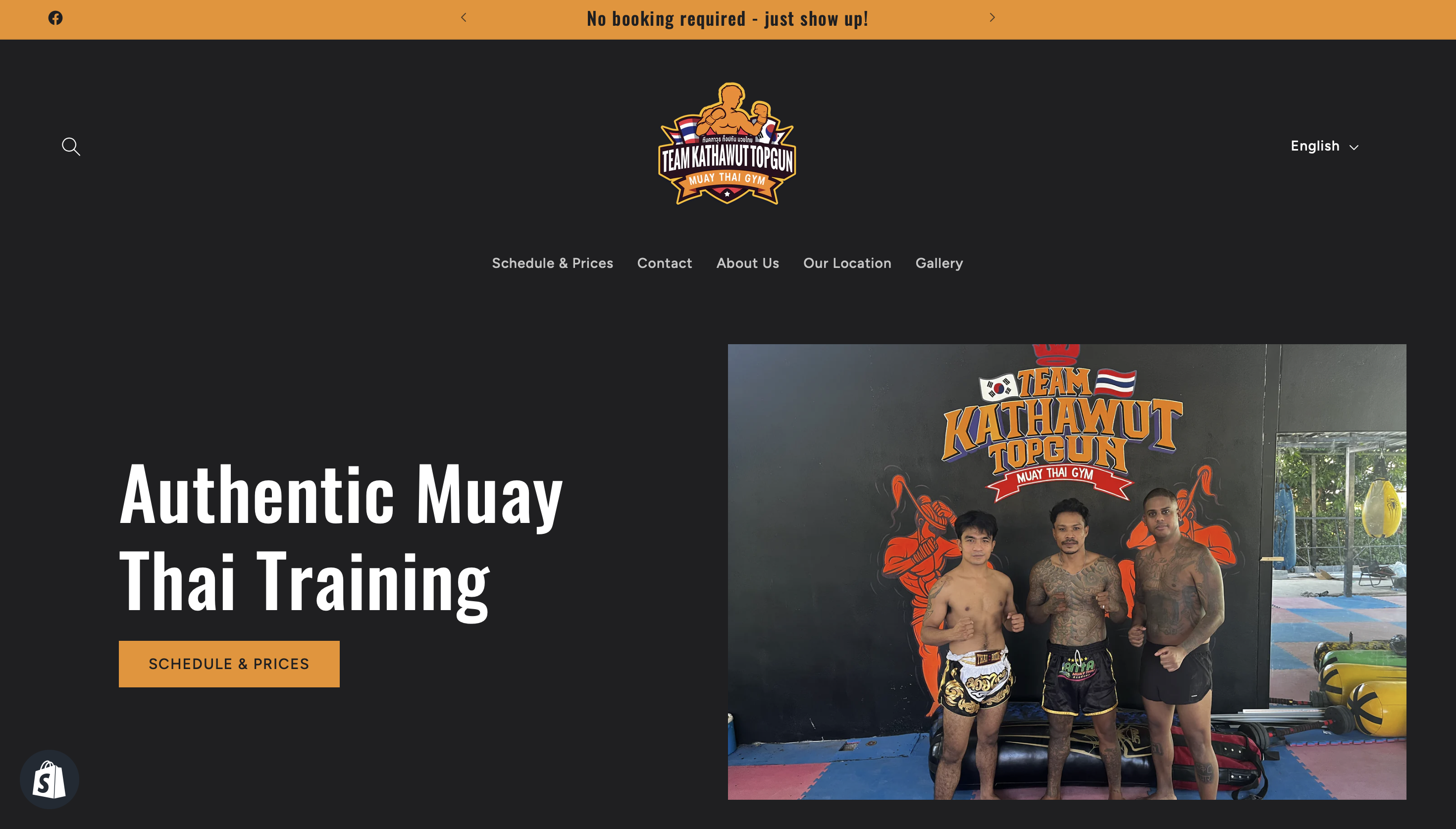 Portfolio - website2